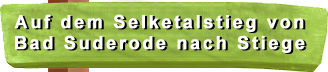 Selketalstieg: Bad Suderode - Stiege