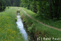 Oberharzer Wasserregal