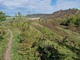 Pfad vor Halberstadt