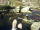 An der Ilse